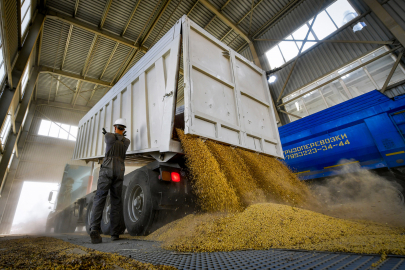 Лицензирование на вывоз зерновых вводит Беларусь