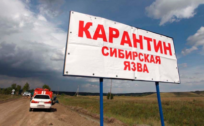 Сибирскую язву выявили у 32 человек в двух регионах Казахстана
