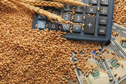 Египет обсуждает с банком из ОАЭ кредит пшеницы из Казахстана