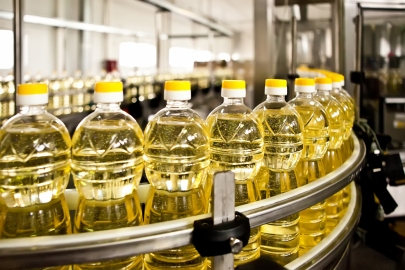 Производство растительного масла выросло в Казахстане