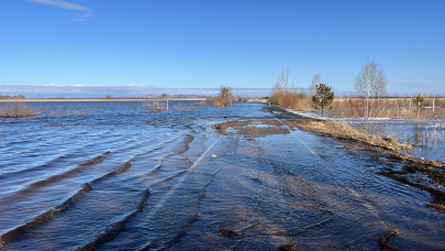 Депутат подверг критике работу правительства из-за паводков в Казахстане