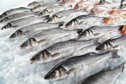 Более 80 тонн рыбы и рыбной продукции продано за год в Казахстане
