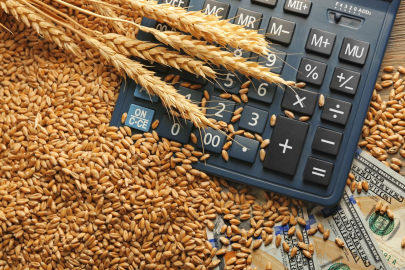 С 5 октября пошлину на экспорт пшеницы понижает Россия