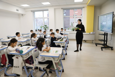 Тойхана и торговый центр — треть школ были оцифрованы неверно