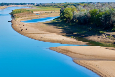Узбекистан предоставит более 900 миллионов кубометров воды в поливной период Казахстану